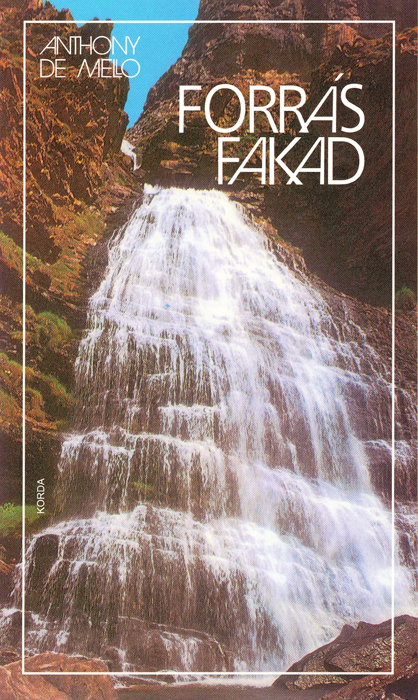 Forrás fakad