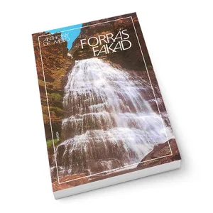 Forrás fakad