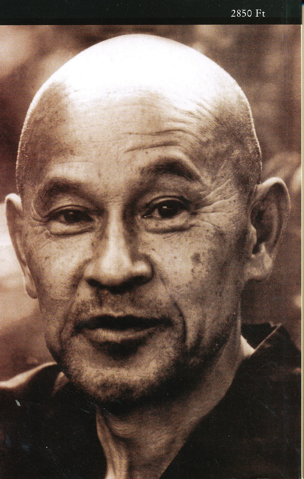 Zen szellem